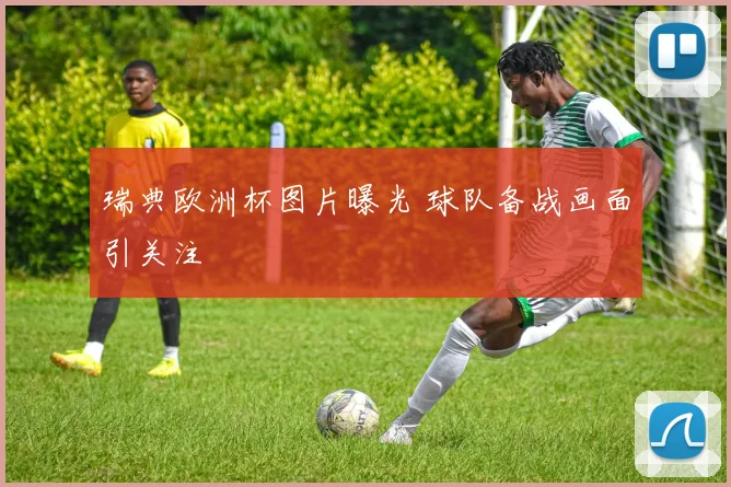 瑞典欧洲杯图片曝光 球队备战画面引关注
