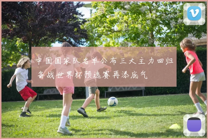 中国国家队名单公布三大主力回归 备战世界杯预选赛再添底气