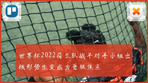 世界杯2022荷兰队战平对手小组出线形势生变成为晋级焦点
